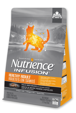 infusion-cat-healthy-adult